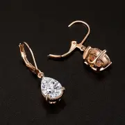 Earrings Trend With A Wide Range Earrings Contracted Show Temperament Delicate