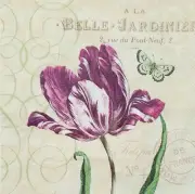 5 Paper Napkins for Decoupage/Scrapbooking/Craft-Tuilp