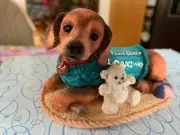 Vintage 1997 Puppy Pals My Love Goes a Long Way Figurine #44812 Retired Mint New