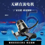 【台灣公司保固】FSM3660水下電機無刷直流電機ROV配件小型水下推進器潛水防水船模【7天內發貨】