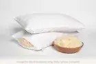 Kapok Pillow in Organic Cotton shell - Non-toxic Hypoallergenic VOC-free