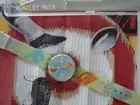 WINDMEAL! Swatch w ABSTRACT ARTWORK by SU HUNTLEY-MUIR!
