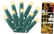 50 LED Christmas Lights-String Lights 25FT-50LED Green Wire Warm White