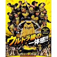 在飛比找蝦皮購物優惠-NPB 日本職棒 阪神虎 ウル虎の夏 2017球員同款球衣 