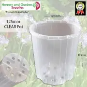 125mm (120mm) Clear Plastic Pots - PACK of 20 - Phalaenopsis Orchid, Hoyas