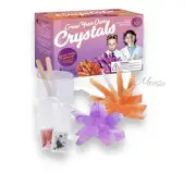 Crystal Growing Science Kits Purple Ladybug for Kids Age 10 + - Birthday Gift