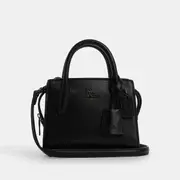 Andrea Mini Carryall