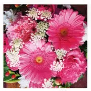 2 Paper Napkins Serviettes for Decoupage Parties Craft Pink Gerberas