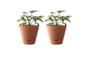 2x Northcote Pottery Leonard 25x23cm Self Watering Plant Pot Garden Decor Brick