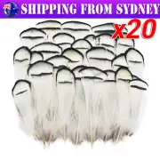 20pcs White Lady Pheasant Feathers 5-8CM for Craft Plumage Feather for Wedding