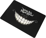 Funny Door Mats Outdoor Go Away Cat Doormat, Coir Welcome Mat for Housewarming Decor Gift 23.6 X 15.7 Inch(We are All Mad Here)