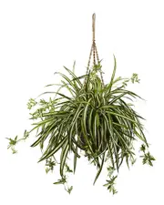 Nearly Natural Spider Plant Hanging Basket