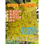 非農藥物理性殺蟲板 雙面強力黏『台灣生產製造』非陸製【台中城溫室材料】