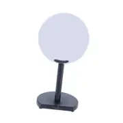 Electrostatic Induced Conductor Ball for Lab School Teaching Students