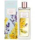 Women's Collection Powdery Mimosa EdT Parfum Perfume Oriflame Swedish 38514 LAST
