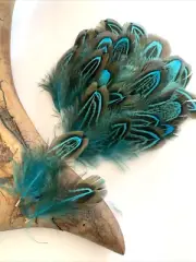 25pcs Natural Turquiose Blue Pheasant Feathers DIY Craft Millinery Jewellery