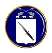 1st Special Forces Regiment US Army Pin Badge