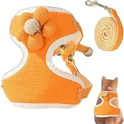 Cat Vest Harness - Cat Walking Harness, Escape Proof Cat Harness, Breathable Cat Harness for Outdoor Adventure, Cat Harness and Leashes with Secure Buckles for Small Cats and