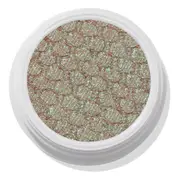 ColourPop®: Shop Rooftop Cocktails Rust Terracotta | Eyeshadow