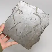 657g Muonionalusta meteorite part slice C6773