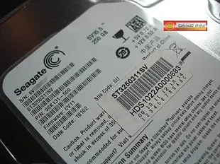 Seagate 希捷 SV35.5 數位監控碟 SATA界面 250G 7200轉 快取8M ST3250311SV