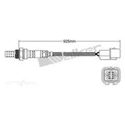 PAT Oxygen/Lambda Sensor Pre-Catalytic Converter/Manifold - EGO-650