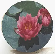 Collectibles Stopper for bottle ( Corker ), water lilies