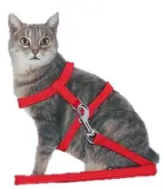 Red Pet Cat Kitten Small Dog Puppy Adjustable Lead Leash- Collar Harness Safety