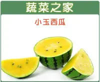 在飛比找Yahoo!奇摩拍賣優惠-【蔬菜之家】I02.小玉西瓜種子3顆(新冠品種.皮色綠色底子