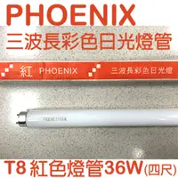 在飛比找PChome24h購物優惠-PHOENIX 鳳凰三波長彩色日光燈 (紅光) T8四尺直管