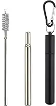 1PCS Reusable Stainless Steel Straw,Collapsible Stainless Steel Drinking Straw Telescopic Straw (with Keychain Case & Cleaning Brush) for Smoothie, Milkshake, Cocktail and Hot Drinks (Black)