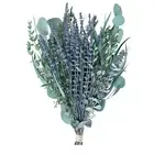 27X Eucalyptus Leaves Branches Stems Dried Flower Real Ornament DIY Wedding Prop