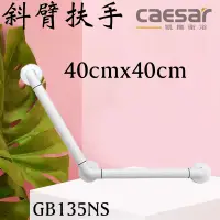 在飛比找蝦皮購物優惠-含發票 caesar 凱撒衛浴 GB135N ABS抗菌扶手