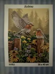 Printed needlepoint tapestry Canvas Only Robbins 30x40 cm
