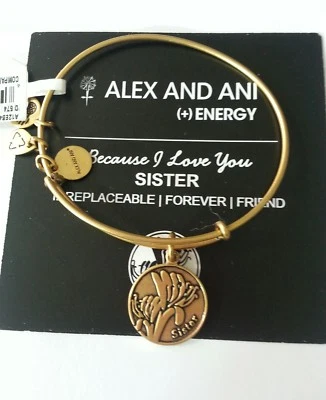 Alex and Ani Because I Love You SISTER Bangle Bracelet New/Tags BOX Retired