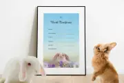 I'm Your Bunny Rabbit Birth Certificate Ready to Frame A4 Keepsake (Blue)