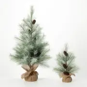 Christmas Old Fashioned Snowy Pine Tree Pinecone - Set 2