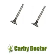 INTAKE VALVE & EXHAUST VALVE FOR ROBIN SUBARU ENGINES EY18 VALVES