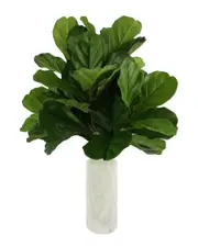 Creative Displays Fiddle Leaf Plant