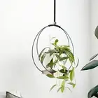 Corner Room Plant Holder Home Office Display Wooden Base Hanging Stand