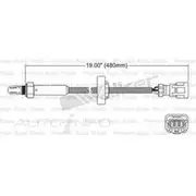 PAT Oxygen/Lambda Sensor Pre-Catalytic Converter/Manifold - EGO-347