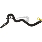 One New Genuine Engine Coolant Hose C2Z1853 for Jaguar