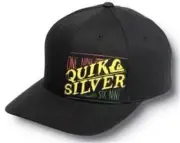 Just Found! New Licensed Quiksilver 1961 RASTA Flexfit Surfer Player Hat S03