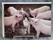 Vintage Avanti Happy Birthday Greeting Card ~ "Are You Sure We're Related?"