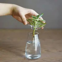 在飛比找誠品線上優惠-KINTO Aqua Culture玻璃花瓶/ 小/ 透明