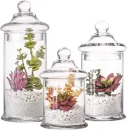 Set of 3 Glass Apothecary Jars with Lids Clear Bathroom Storage Organizer Can...