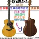 山葉 Yamaha AC5R ARE 日本製 全單板 電 木 民謠 吉他 公司貨 附贈原廠琴盒+音孔蓋
