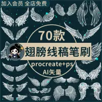 在飛比找淘寶網優惠-翅膀procreate筆刷ps筆刷手繪天使惡魔精靈仙子翅膀線