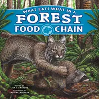 在飛比找蝦皮商城優惠-What Eats What in a Forest Foo