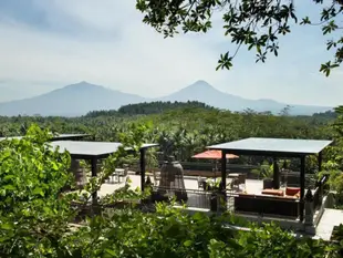 普拉塔萊波洛布多Spa度假村Plataran Borobudur Resort & Spa